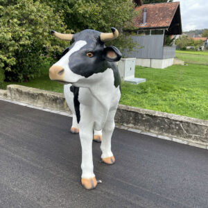 Melkkuh